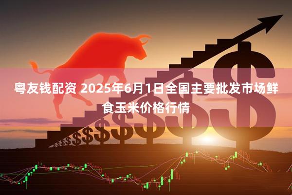 粤友钱配资 2025年6月1日全国主要批发市场鲜食玉米价格行情