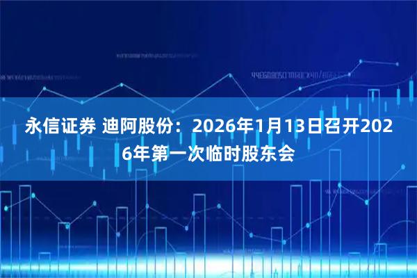 永信证券 迪阿股份：2026年1月13日召开2026年第一次临时股东会