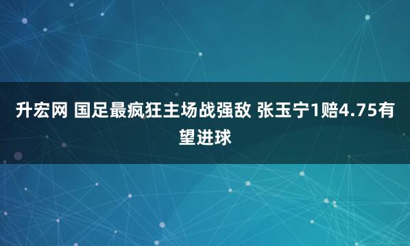 升宏网 国足最疯狂主场战强敌 张玉宁1赔4.75有望进球