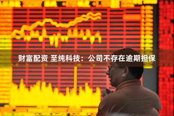 财富配资 至纯科技：公司不存在逾期担保
