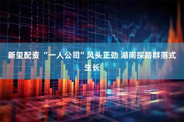 新玺配资 “一人公司”风头正劲 湖南探路群落式生长
